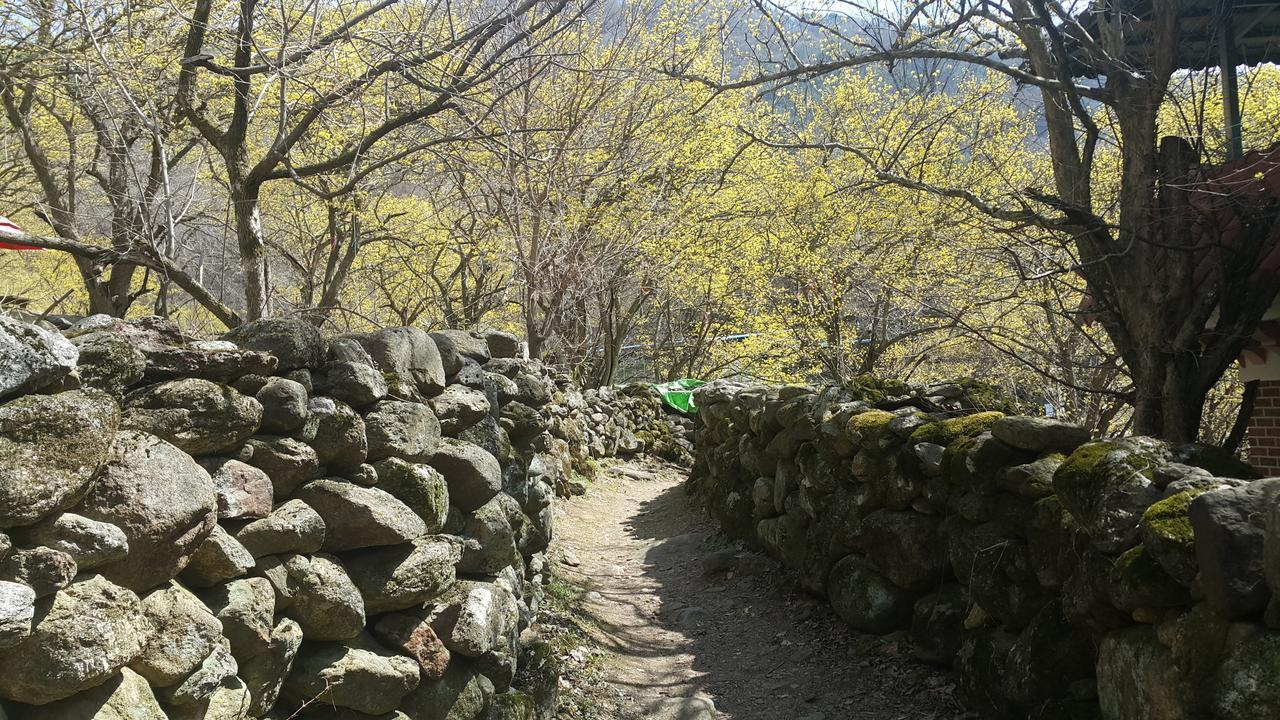 Gurye Guesthouse Exterior foto